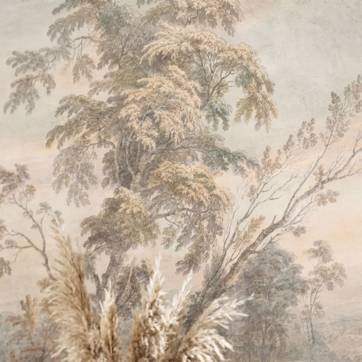Détail du papier peint panoramique Arbres légers, sépia pâle, papier intissé mat